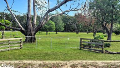 Residential Block For Sale - VIC - Woodside - 3874 - ONE ACRE ON A QUIET COUNTRY LANE  (Image 2)