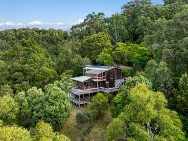 House For Sale - VIC - Apollo Bay - 3233 - ARCHITECT DESIGNED COASTAL RETREAT AMONGST THE TREES  (Image 2)