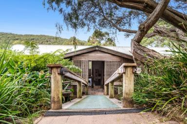 House For Sale - VIC - Apollo Bay - 3233 - ARCHITECT DESIGNED COASTAL RETREAT AMONGST THE TREES  (Image 2)