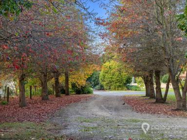 House For Sale - VIC - Foster - 3960 - Rare Opportunity in Prime Foster Location  (Image 2)