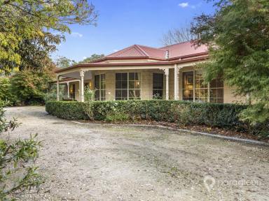 House For Sale - VIC - Foster - 3960 - Rare Opportunity in Prime Foster Location  (Image 2)
