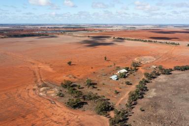 Cropping Auction - NSW - Goolgowi - 2652 - Starter block with irrigation access (Image 2)