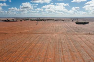 Cropping Auction - NSW - Goolgowi - 2652 - Starter block with irrigation access (Image 2)