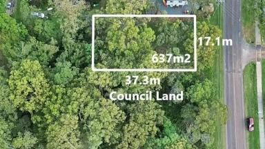 Residential Block For Sale - QLD - Macleay Island - 4184 - Absolute Value for Money in a Walk-to-Everything Location  (Image 2)