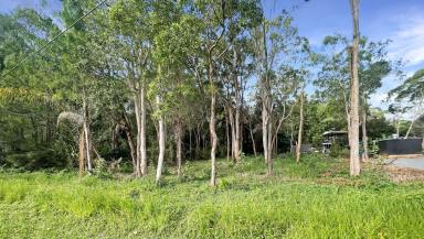 Residential Block For Sale - QLD - Macleay Island - 4184 - Absolute Value for Money in a Walk-to-Everything Location  (Image 2)