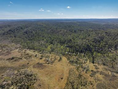 Other (Rural) For Sale - NSW - Tomboye - 2622 - 912 Acres,  Future Subdivision Potential, Perfect Buy & Hold.  (Image 2)