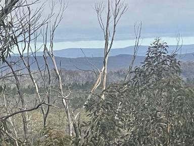 Other (Rural) For Sale - NSW - Tomboye - 2622 - 912 Acres,  Future Subdivision Potential, Perfect Buy & Hold.  (Image 2)