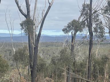 Other (Rural) For Sale - NSW - Tomboye - 2622 - 912 Acres,  Future Subdivision Potential, Perfect Buy & Hold.  (Image 2)