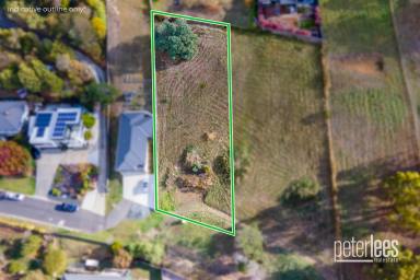 Residential Block For Sale - TAS - Newstead - 7250 - Rare Land Opportunity in Sought After Newstead (Image 2)