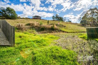 Residential Block For Sale - TAS - Newstead - 7250 - Rare Land Opportunity in Sought After Newstead (Image 2)