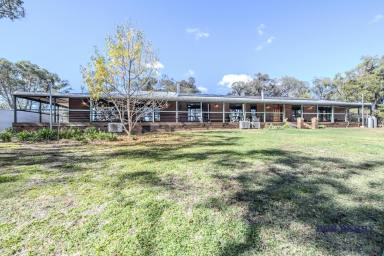 House For Sale - NSW - Dubbo - 2830 - Space, Lifestyle & Family Living on 10.14 Hectares  (Image 2)