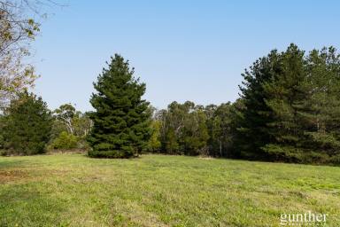 Residential Block For Sale - VIC - Healesville - 3777 - Peaceful Acreage with Stunning Views  (Image 2)