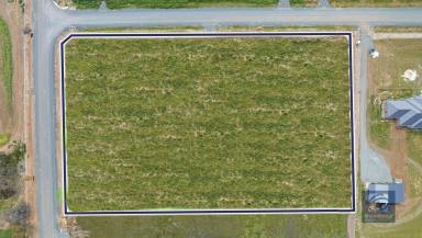 Residential Block For Sale - VIC - Echuca - 3564 - Bring Your Dream to Life  (Image 2)