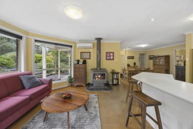 House For Sale - VIC - Cobden - 3266 - Space, Comfort & Rural Charm Just Minutes from Town  (Image 2)