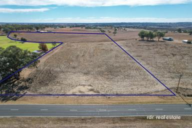 Residential Block For Sale - NSW - Inverell - 2360 - Build Your Dream Escape Close to the CBD  (Image 2)