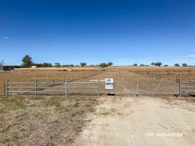 Residential Block For Sale - NSW - Inverell - 2360 - North-Facing Acres Ready for Your Vision  (Image 2)