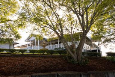 House For Sale - QLD - Middle Ridge - 4350 - Historic Charm & Beauty Perched on Prime Escarpment Location  (Image 2)