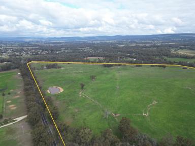 Livestock For Sale - VIC - Chiltern - 3683 - "Boronia Four Ponds"
EOI - Closing 12th June at 5pm  (Image 2)