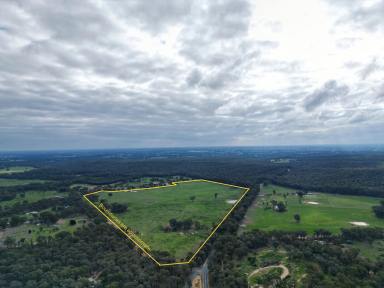 Livestock For Sale - VIC - Chiltern - 3683 - "Boronia Four Ponds"
EOI - Closing 12th June at 5pm  (Image 2)
