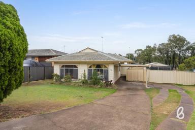 House Sold - NSW - Singleton - 2330 - Three Bedroom Home with Double Shed in Convenient Location  (Image 2)