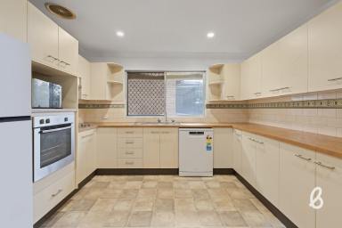 House For Sale - NSW - Singleton - 2330 - Three Bedroom Home with Double Shed in Convenient Location  (Image 2)