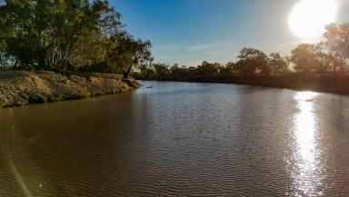 Mixed Farming For Sale - NSW - Bourke - 2840 - WATER, LIFESTYLE AND MIXED FARMING ON THE DARLING RIVER  (Image 2)