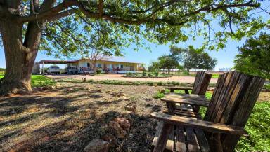 Mixed Farming For Sale - NSW - Bourke - 2840 - WATER, LIFESTYLE AND MIXED FARMING ON THE DARLING RIVER  (Image 2)
