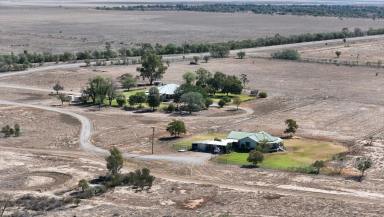 Mixed Farming For Sale - NSW - Bourke - 2840 - WARTER, LIFESTYLE AND MIXED FARMING ON THE DARLING RIVER  (Image 2)