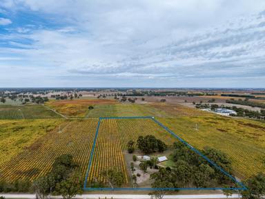 House For Sale - SA - Coonawarra - 5263 - Tranquil Rural Living Among the Gums & Vines  (Image 2)