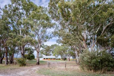 House For Sale - SA - Coonawarra - 5263 - Tranquil Rural Living Among the Gums & Vines  (Image 2)