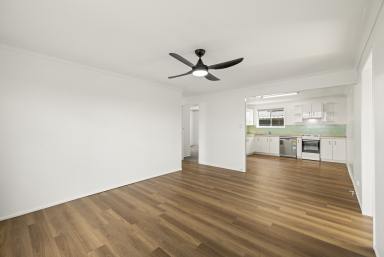 House For Lease - QLD - South Toowoomba - 4350 - Stylish Renovation in a Prime Location  (Image 2)