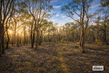 Residential Block For Sale - VIC - Emu Creek - 3551 - 5 Acres Close to Strathfieldsaye  (Image 2)