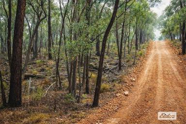Residential Block For Sale - VIC - Emu Creek - 3551 - 5 Acres Close to Strathfieldsaye  (Image 2)
