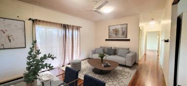 House For Sale - QLD - Tolga - 4882 - Leonard Street Legend (Image 2)
