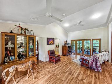 House For Sale - QLD - Malanda - 4885 - Quiet Cul-de-Sac Living with Creek Access  (Image 2)