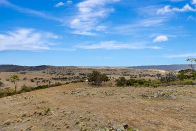 Lifestyle For Sale - NSW - Mudgee - 2850 - SECLUDED, SCENIC & READY TO EXPLORE  (Image 2)