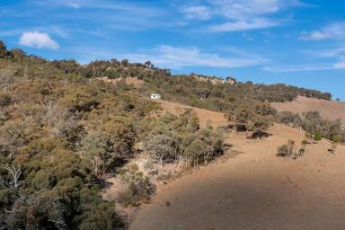 Lifestyle For Sale - NSW - Mudgee - 2850 - SECLUDED, SCENIC & READY TO EXPLORE  (Image 2)