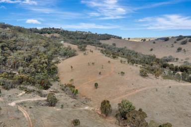 Lifestyle For Sale - NSW - Mudgee - 2850 - SECLUDED, SCENIC & READY TO EXPLORE  (Image 2)