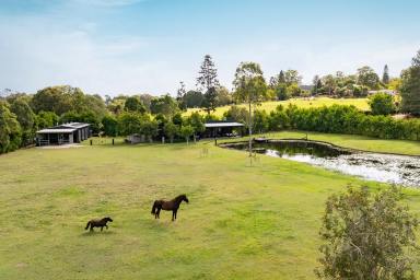 House For Sale - QLD - Carters Ridge - 4563 - Luxury, Lifestyle and Breathtaking Natural Beauty  (Image 2)