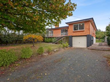 House For Sale - TAS - Youngtown - 7249 - An excellent opportunity in Youngtown (Image 2)