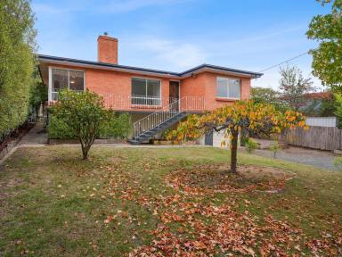 House For Sale - TAS - Youngtown - 7249 - An excellent opportunity in Youngtown  (Image 2)