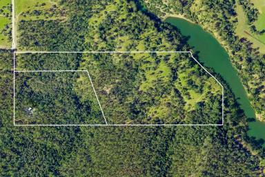 Residential Block For Sale - QLD - St Mary - 4650 - A Rare 58 Acre Mary River Holding on Two Titles  - Rich in Wildlife, Privacy & Natural Beauty  (Image 2)