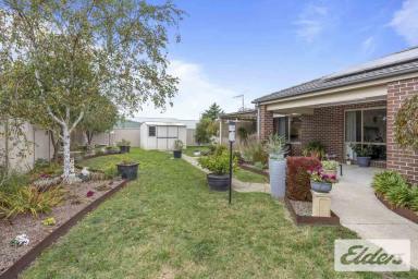House For Sale - VIC - Miners Rest - 3352 - Four Bedrooms Plus Study – Spacious Family Living with Side Access  (Image 2)