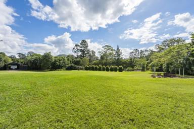 House For Sale - QLD - Samford Valley - 4520 - The Ultimate Dual Residency on Picturesque Acreage.  (Image 2)