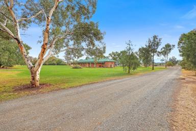 Lifestyle For Sale - NSW - Tamworth - 2340 - EXCELLENT LAND WITH SECURE WATER, QUALITY HOME AND EQUINE IMPROVEMENTS  (Image 2)