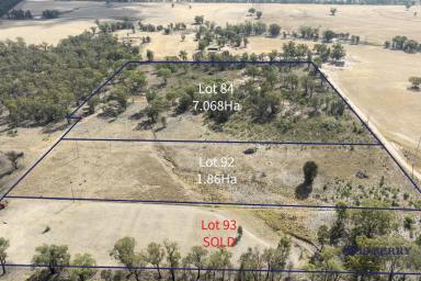 Residential Block For Sale - NSW - Minore - 2830 - Tree Tops Estate - Affordable lifestyle blocks  (Image 2)