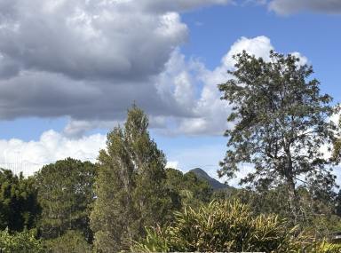Residential Block For Sale - QLD - Cooroy - 4563 - Prime Vacant Land in the Heart of Cooroy  (Image 2)