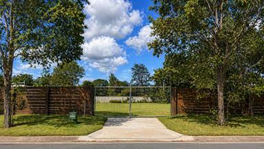 Residential Block For Sale - QLD - Cooroy - 4563 - Prime Vacant Land in the Heart of Cooroy  (Image 2)