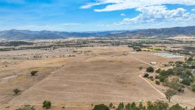 Acreage/Semi-rural For Sale - NSW - Kootingal - 2352 - Boxhill Kootingal  (Image 2)