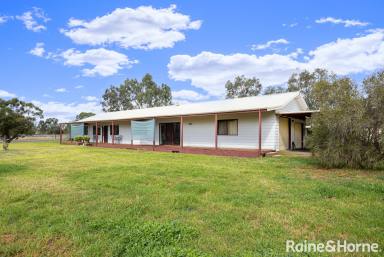 House For Sale - NSW - Marrar - 2652 - Lifestyle Living in Marrar  (Image 2)